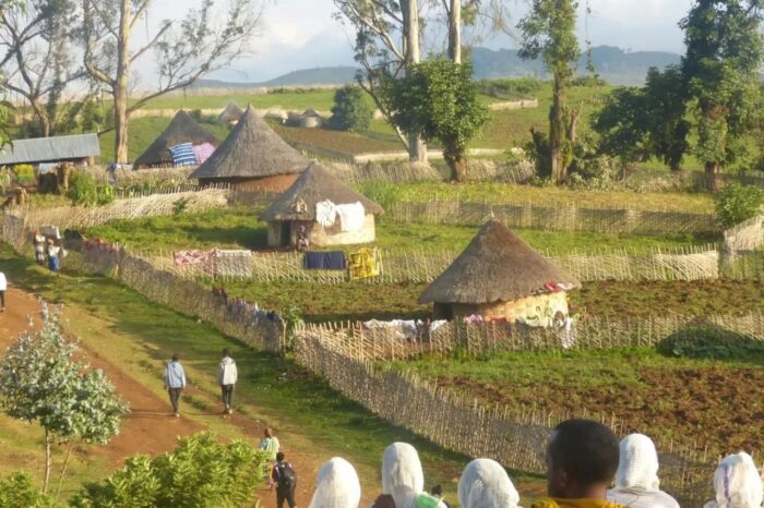 Ethiopian Monasteries