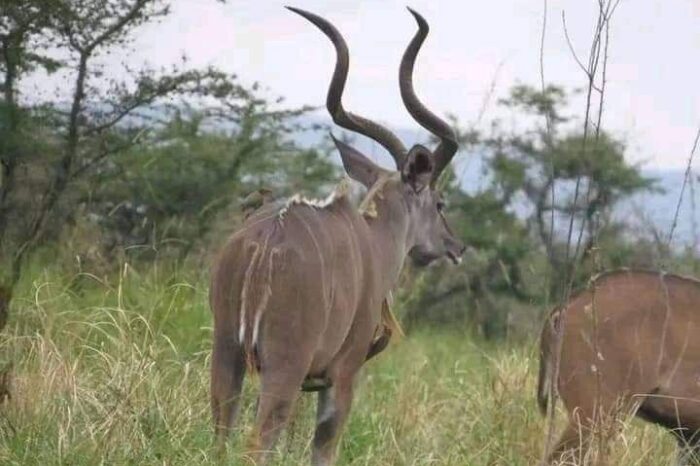 National Parks and Sanctuaries